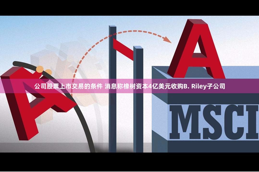 公司股票上市交易的条件 消息称橡树资本4亿美元收购B. Riley子公司