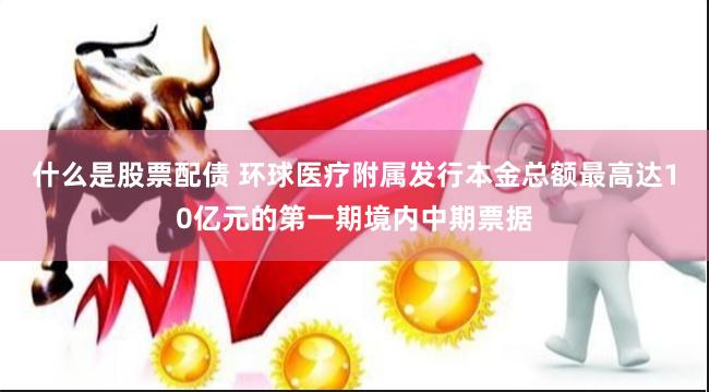 什么是股票配债 环球医疗附属发行本金总额最高达10亿元的第一期境内中期票据