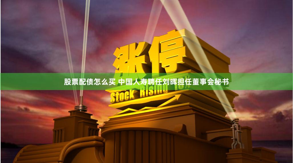 股票配债怎么买 中国人寿聘任刘晖担任董事会秘书