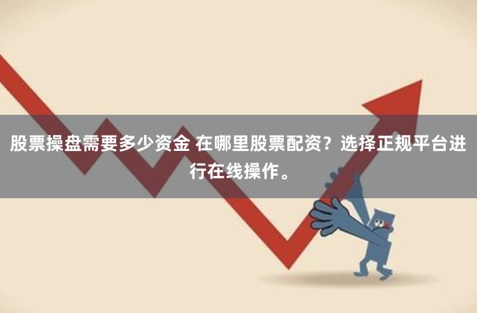 股票操盘需要多少资金 在哪里股票配资？选择正规平台进行在线操作。